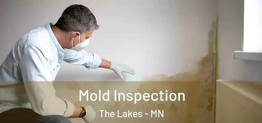Mold Inspection The Lakes - MN