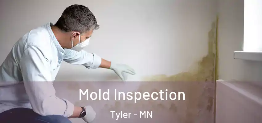 Mold Inspection Tyler - MN