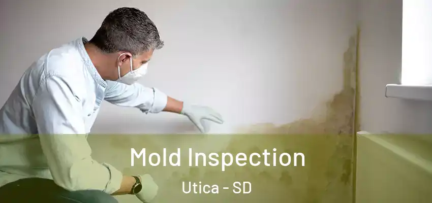 Mold Inspection Utica - SD