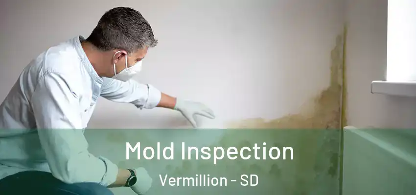 Mold Inspection Vermillion - SD
