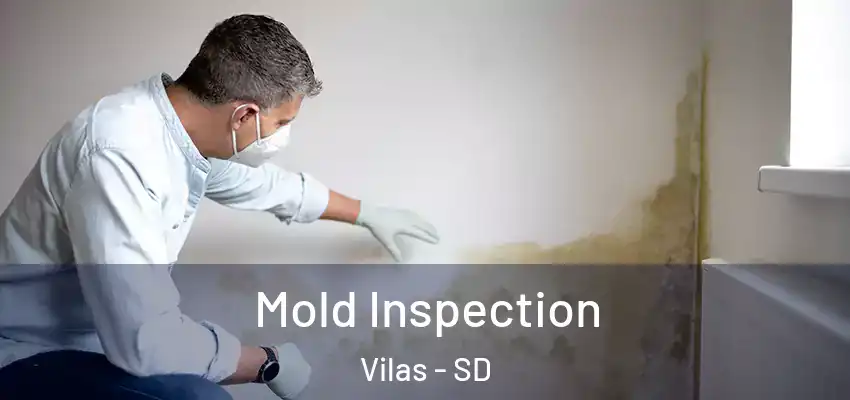 Mold Inspection Vilas - SD