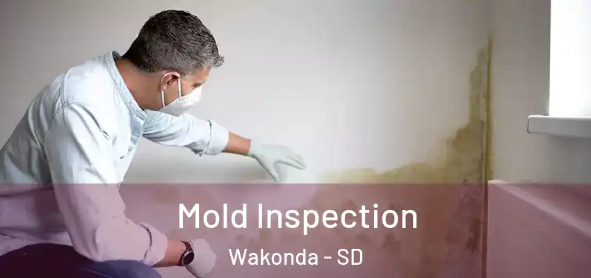  Mold Inspection Wakonda - SD