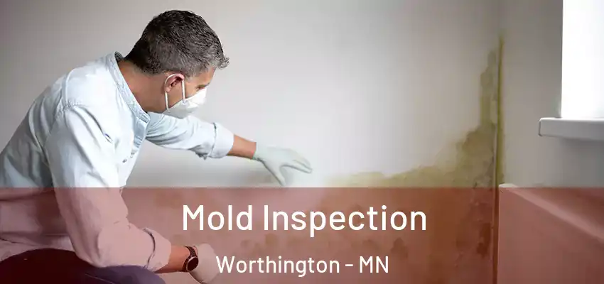 Mold Inspection Worthington - MN