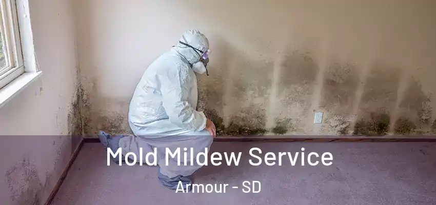  Mold Mildew Service Armour - SD