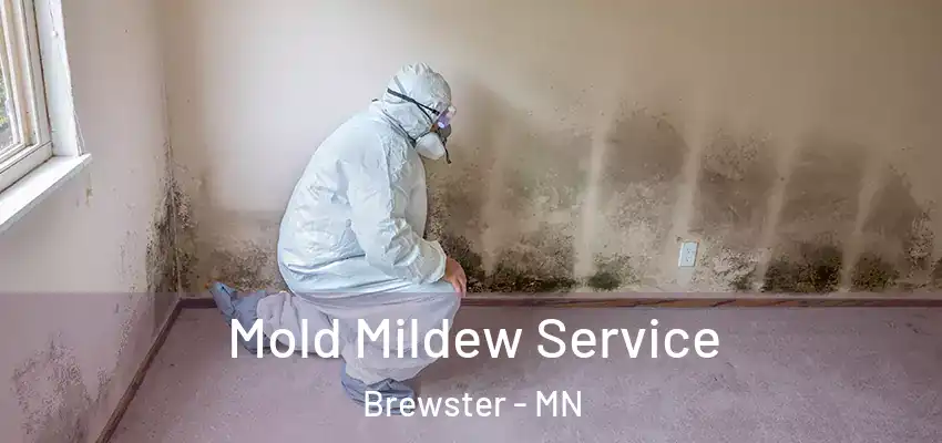  Mold Mildew Service Brewster - MN