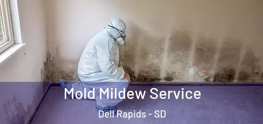 Mold Mildew Service Dell Rapids - SD