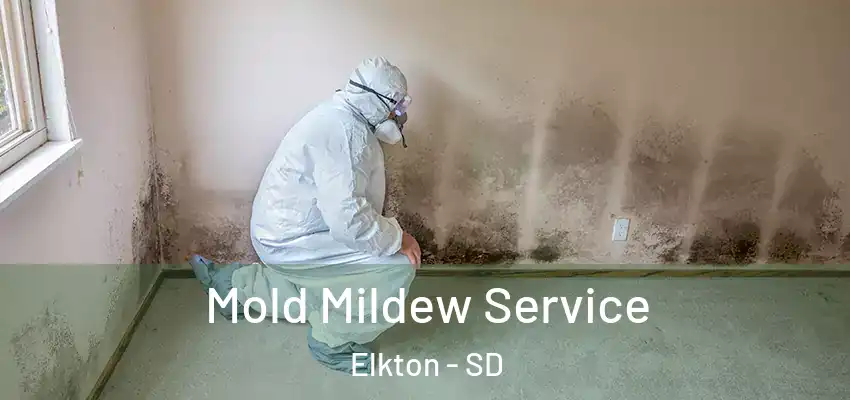 Mold Mildew Service Elkton - SD