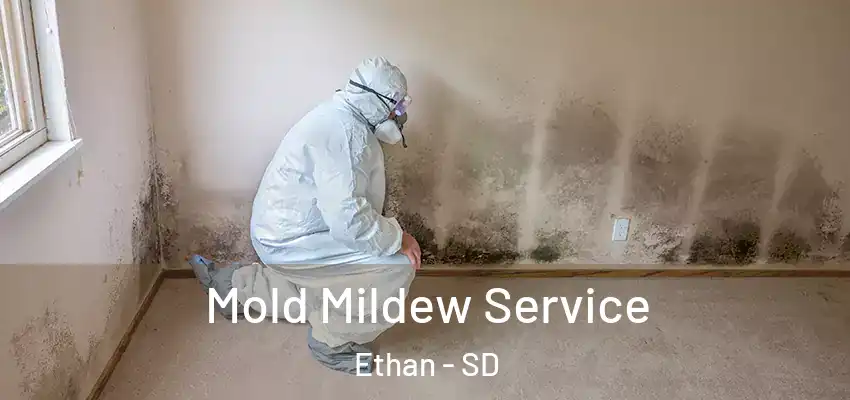  Mold Mildew Service Ethan - SD