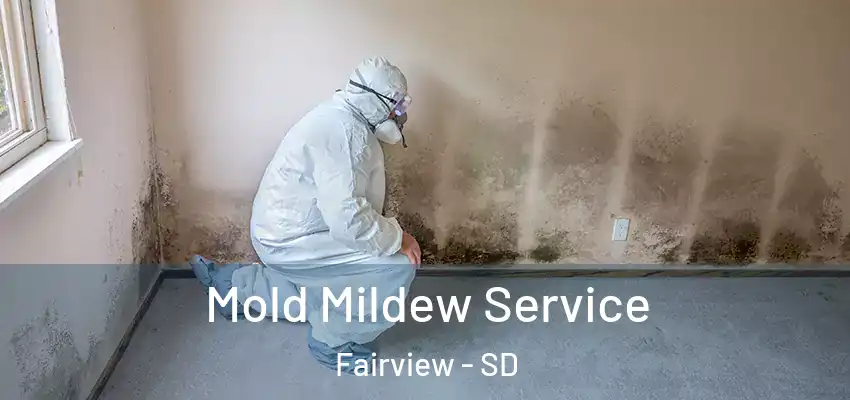  Mold Mildew Service Fairview - SD