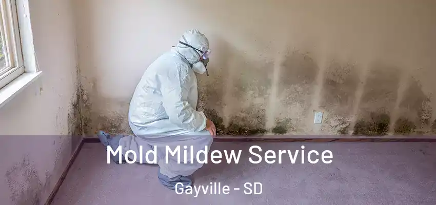 Mold Mildew Service Gayville - SD