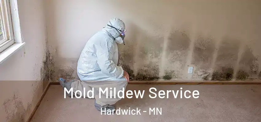 Mold Mildew Service Hardwick - MN
