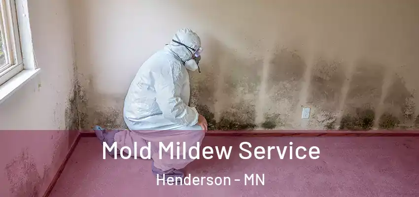  Mold Mildew Service Henderson - MN