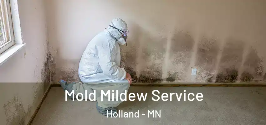  Mold Mildew Service Holland - MN