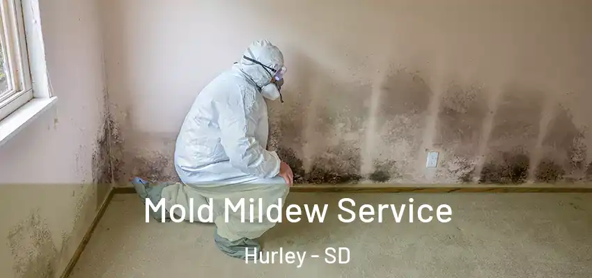 Mold Mildew Service Hurley - SD