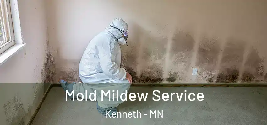 Mold Mildew Service Kenneth - MN