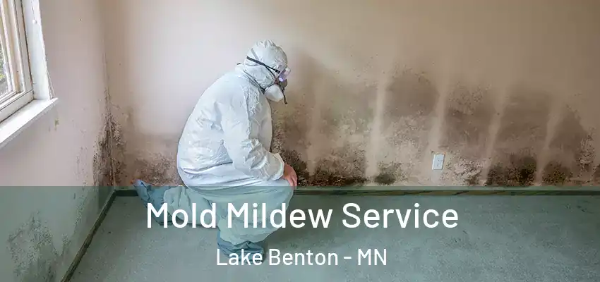 Mold Mildew Service Lake Benton - MN