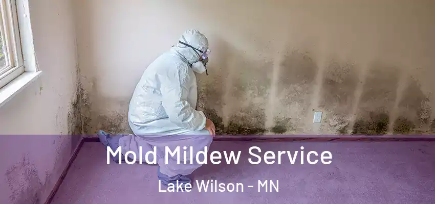 Mold Mildew Service Lake Wilson - MN