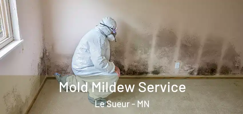 Mold Mildew Service Le Sueur - MN