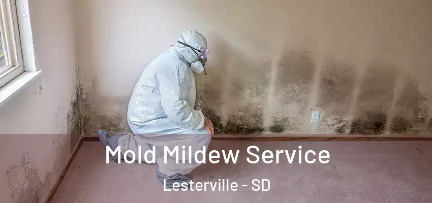 Mold Mildew Service Lesterville - SD