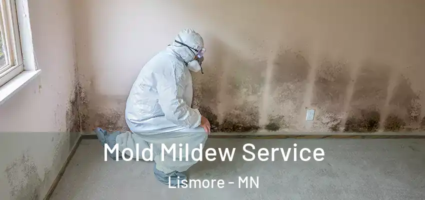  Mold Mildew Service Lismore - MN