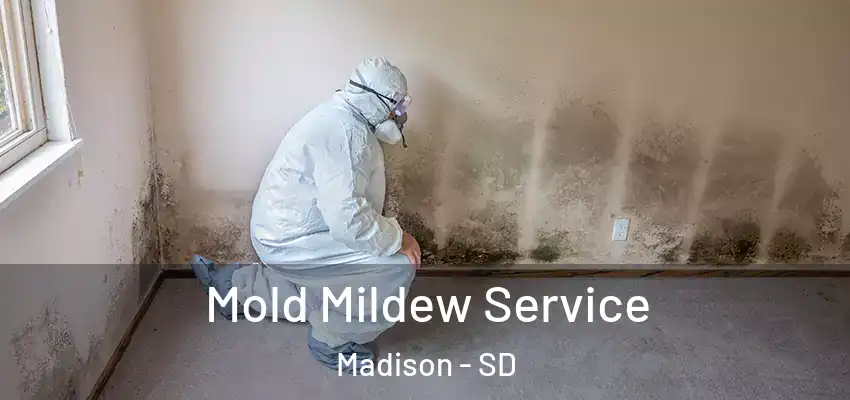 Mold Mildew Service Madison - SD