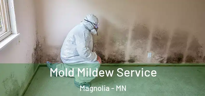 Mold Mildew Service Magnolia - MN