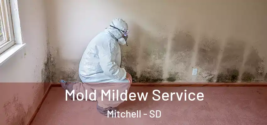  Mold Mildew Service Mitchell - SD