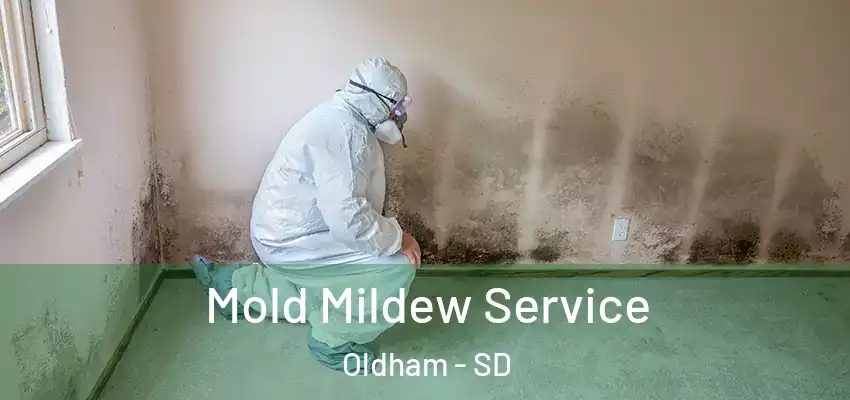  Mold Mildew Service Oldham - SD