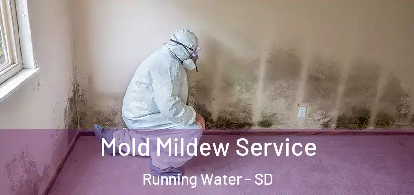  Mold Mildew Service Running Water - SD