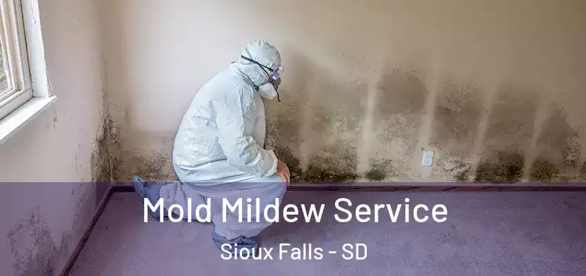 Mold Mildew Service Sioux Falls - SD