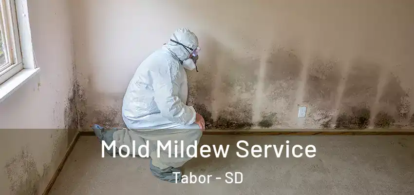 Mold Mildew Service Tabor - SD