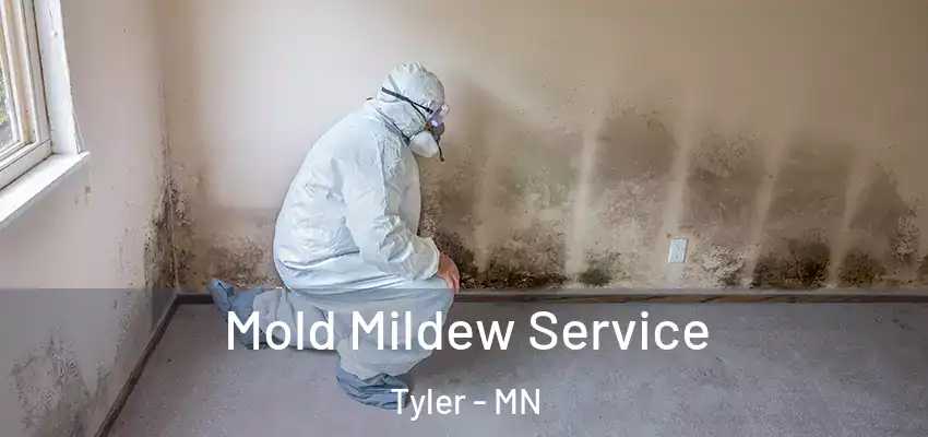  Mold Mildew Service Tyler - MN
