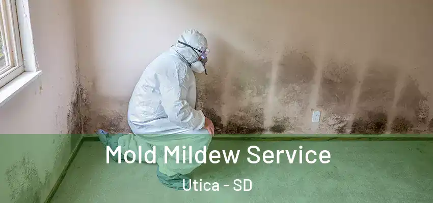 Mold Mildew Service Utica - SD