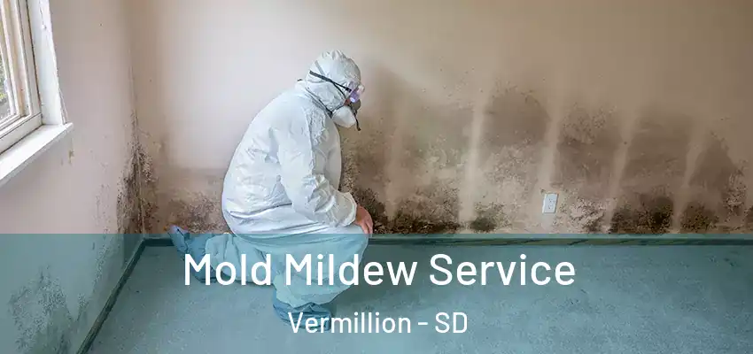 Mold Mildew Service Vermillion - SD