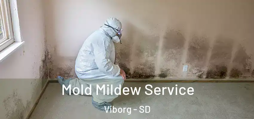  Mold Mildew Service Viborg - SD