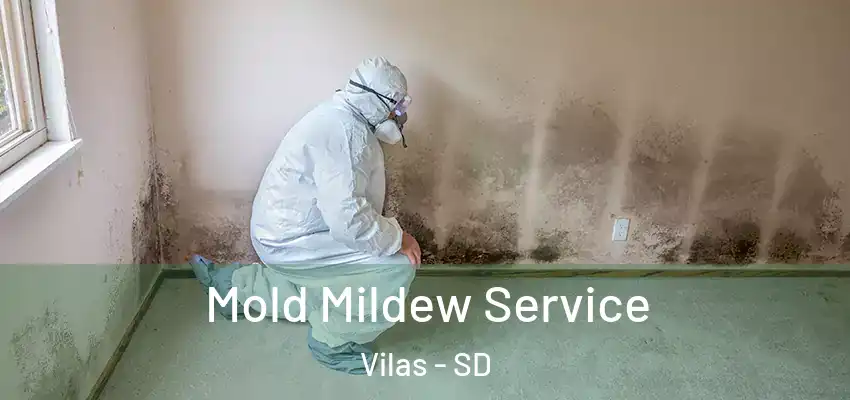  Mold Mildew Service Vilas - SD