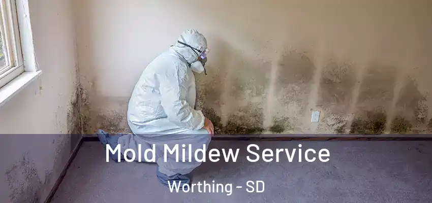 Mold Mildew Service Worthing - SD