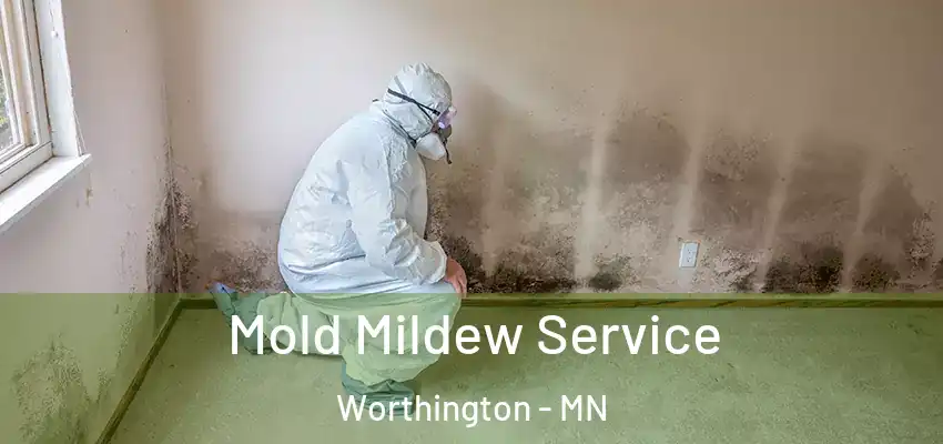  Mold Mildew Service Worthington - MN