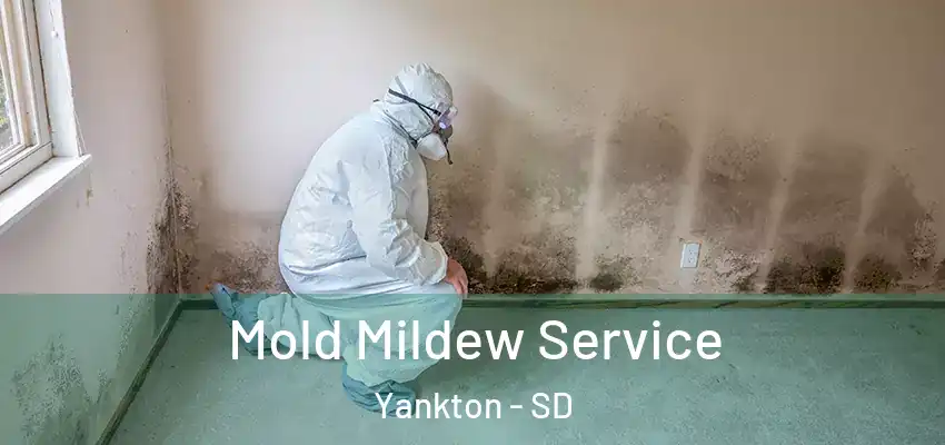 Mold Mildew Service Yankton - SD