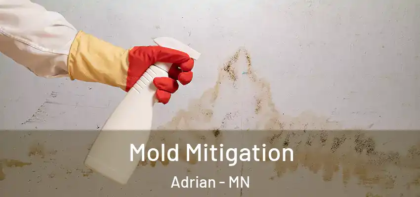  Mold Mitigation Adrian - MN