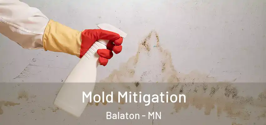  Mold Mitigation Balaton - MN