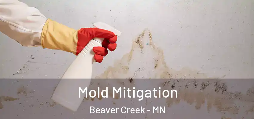  Mold Mitigation Beaver Creek - MN