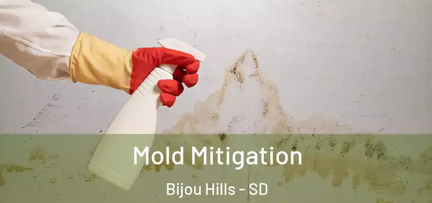 Mold Mitigation Bijou Hills - SD