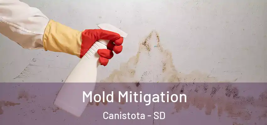  Mold Mitigation Canistota - SD