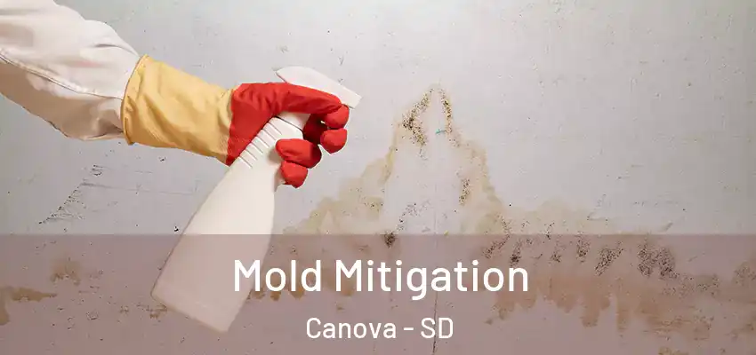  Mold Mitigation Canova - SD
