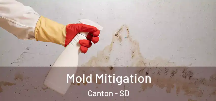 Mold Mitigation Canton - SD