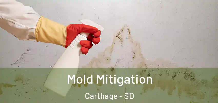  Mold Mitigation Carthage - SD