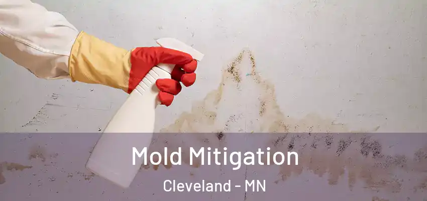 Mold Mitigation Cleveland - MN