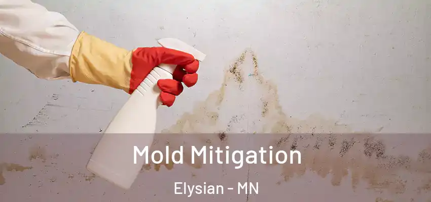  Mold Mitigation Elysian - MN