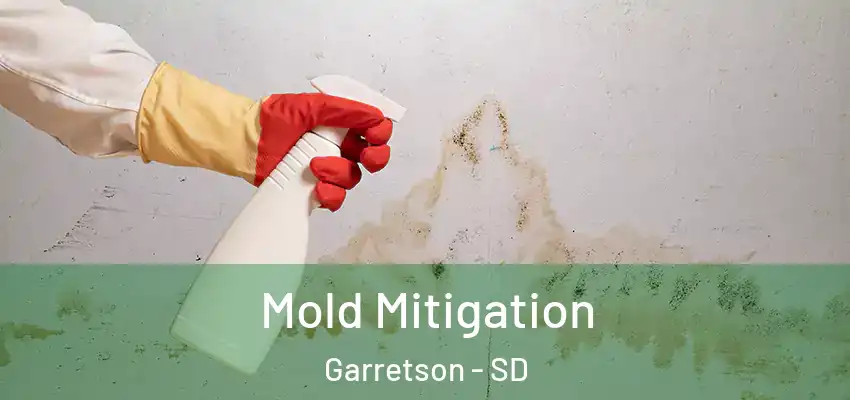 Mold Mitigation Garretson - SD